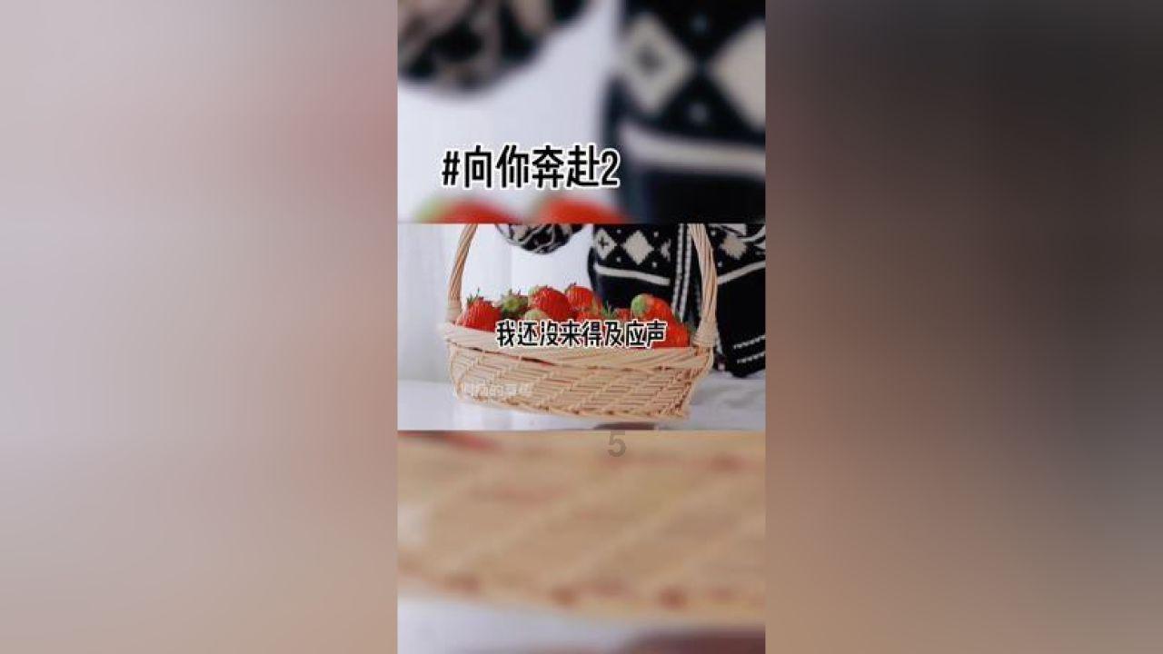 植物大战僵尸17
