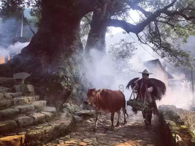 巨魔与勇士