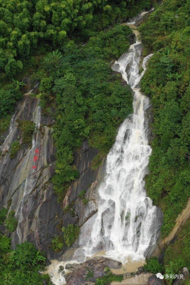 缤纷水果茶无敌版