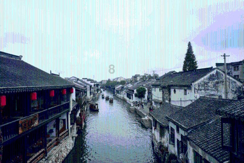 寻找萌宠松鼠